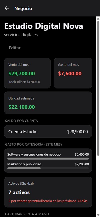 Ixkan en un celular: resumen de un negocio con venta, gasto y activos